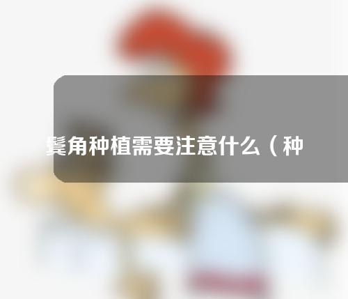 鬓角种植需要注意什么（种鬓角整形攻略）