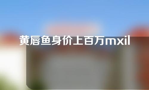 黄唇鱼身价上百万mxilucom