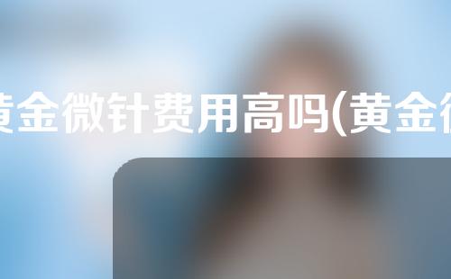 黄金微针费用高吗(黄金微针费用解析：市场价格、技术安全、合理性对比)