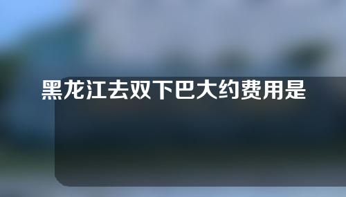 黑龙江去双下巴大约费用是多少(吸脂去双下巴手术费用多少)