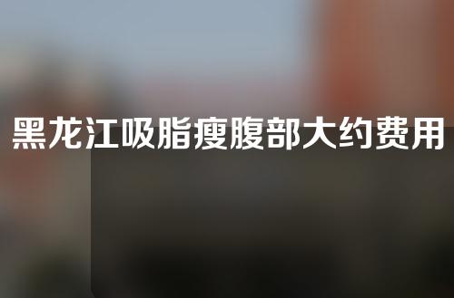 黑龙江吸脂瘦腹部大约费用是多少(黑龙江大约全身抽脂得多少钱)