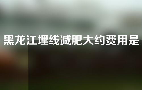 黑龙江埋线减肥大约费用是多少(黑龙江中医药大学埋线减肥)