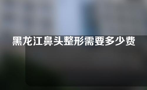 黑龙江鼻头整形需要多少费用(黑龙江鼻部整容多少钱)