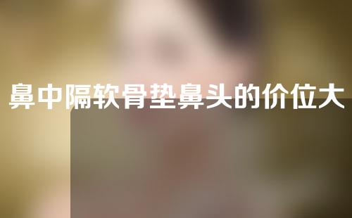 鼻中隔软骨垫鼻头的价位大约是多少(隆鼻手术前后)