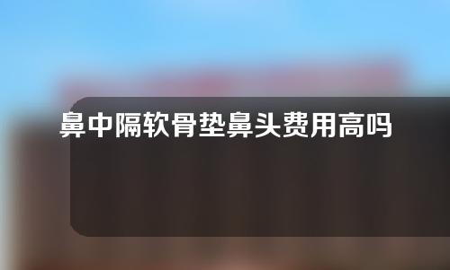 鼻中隔软骨垫鼻头费用高吗(鼻中隔软骨垫鼻头可以取出吗)