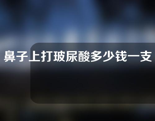 鼻子上打玻尿酸多少钱一支(鼻子上打玻尿酸一般多少钱)