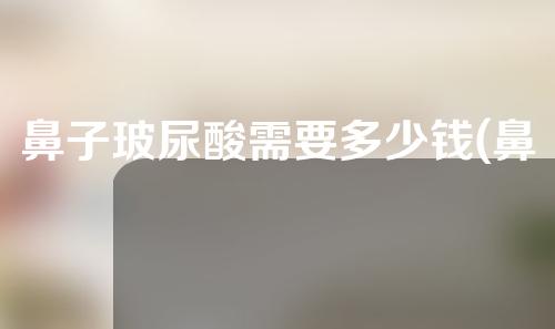 鼻子玻尿酸需要多少钱(鼻子玻尿酸需要多少钱一针)