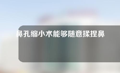 鼻孔缩小术能够随意揉捏鼻子吗？