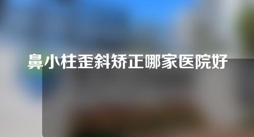 鼻小柱歪斜矫正哪家医院好(优质医院解读鼻小柱歪斜矫正达人分享的秘诀)