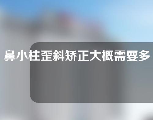 鼻小柱歪斜矫正大概需要多少钱(鼻小柱矫正费用一览：了解价格、预算及常见矫正方式)