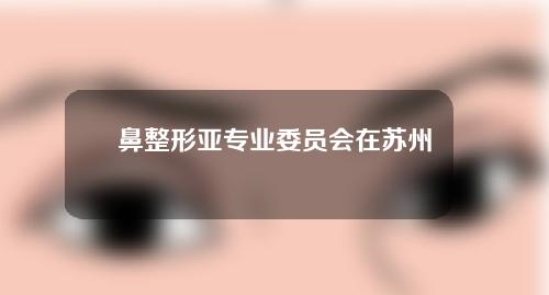 鼻整形亚专业委员会在苏州隆重召开