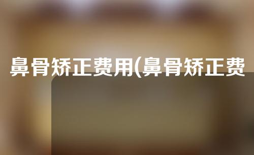 鼻骨矫正费用(鼻骨矫正费用大揭秘：如何省钱还能拥有完美鼻型)