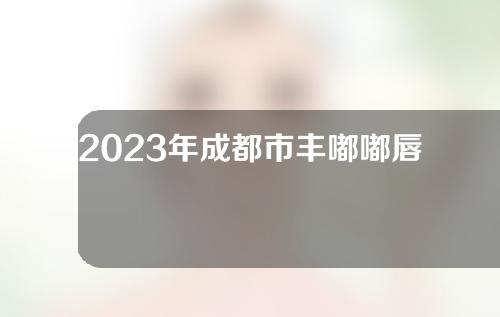 2023年成都市丰嘟嘟唇项目价格表2023版