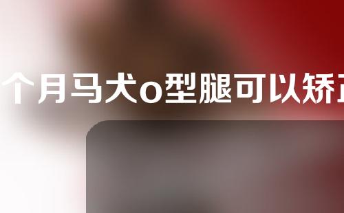 3个月马犬o型腿可以矫正吗