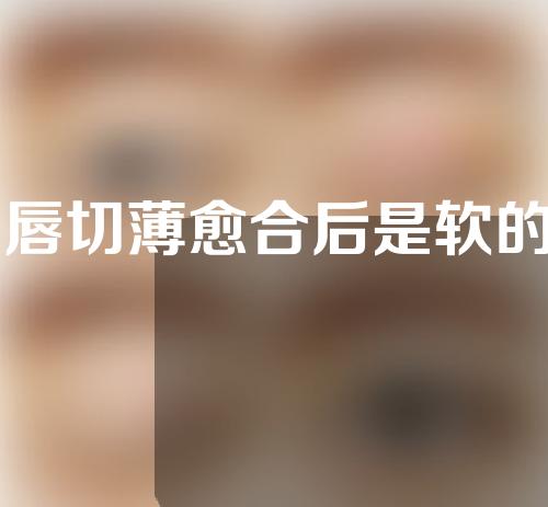 M唇切薄愈合后是软的吗