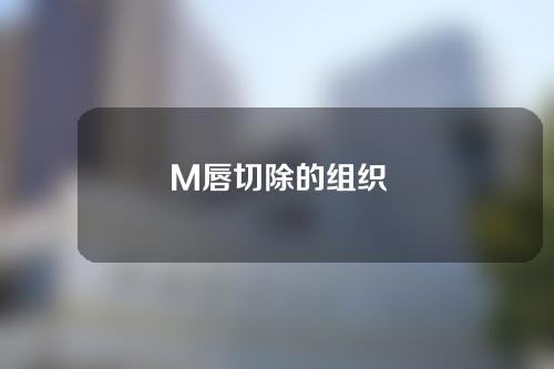 M唇切除的组织