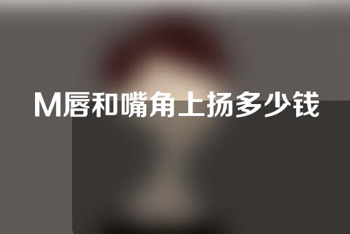 M唇和嘴角上扬多少钱