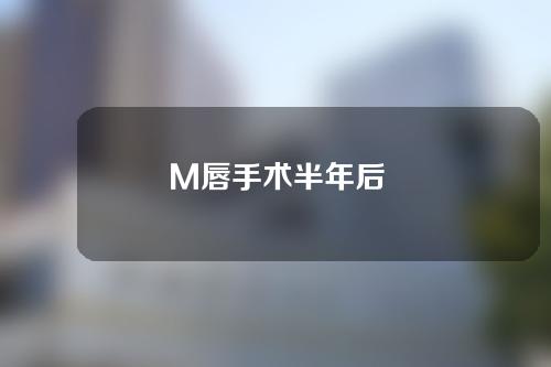M唇手术半年后