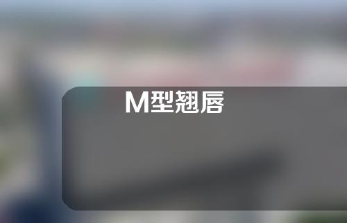 M型翘唇