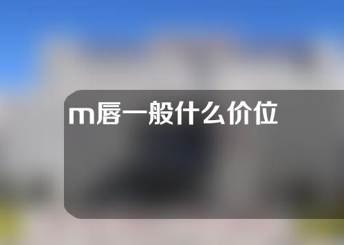 m唇一般什么价位