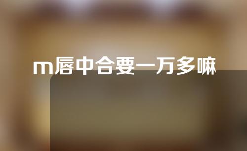 m唇中合要一万多嘛