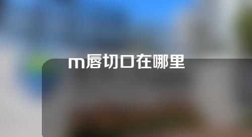 m唇切口在哪里