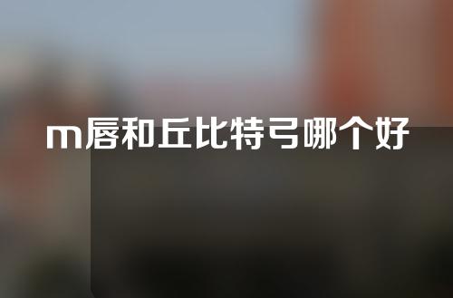 m唇和丘比特弓哪个好