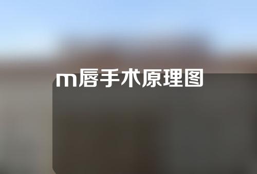 m唇手术原理图