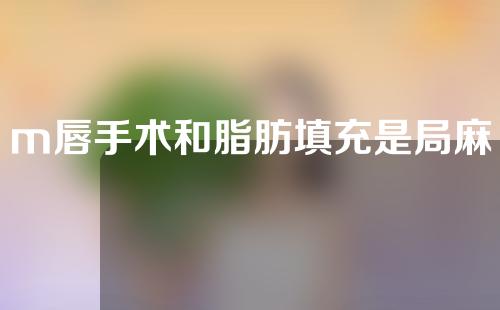 m唇手术和脂肪填充是局麻还是全麻