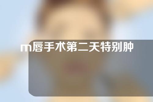 m唇手术第二天特别肿
