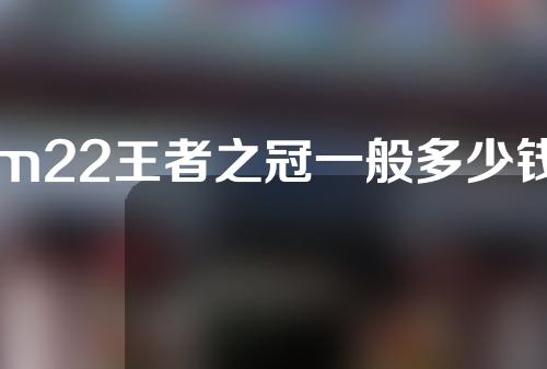 m22王者之冠一般多少钱