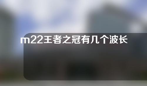 m22王者之冠有几个波长片