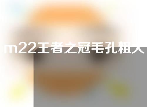 m22王者之冠毛孔粗大