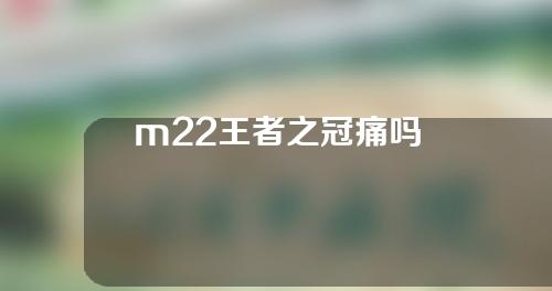 m22王者之冠痛吗