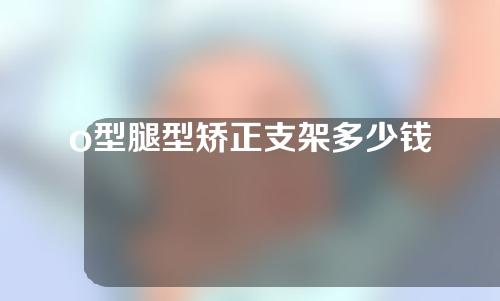 o型腿型矫正支架多少钱