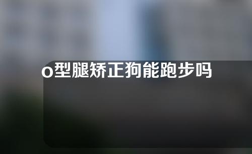 o型腿矫正狗能跑步吗