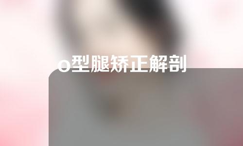 o型腿矫正解剖